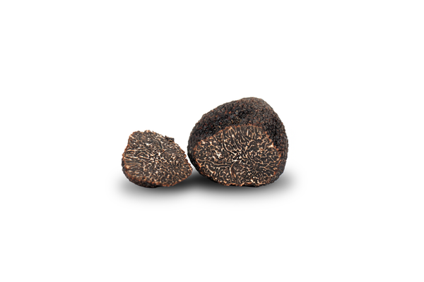 Fresh prized black truffle